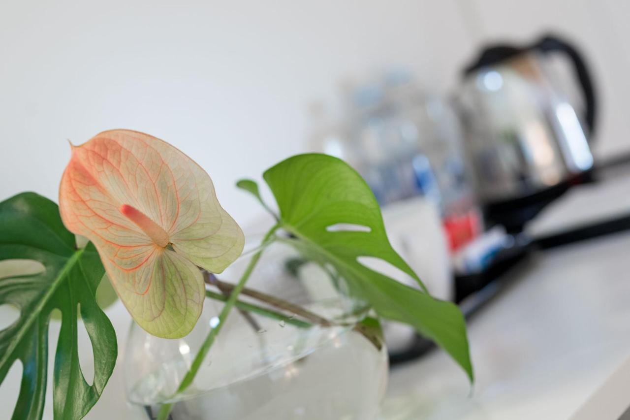 La Ripa Boutique Hotel Albino Dış mekan fotoğraf